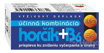 Naturvita Horčík 120 mg + B6 6 mg  60 tabliet