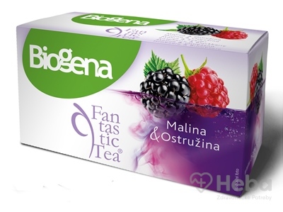 Biogena Fantastic Tea Malina & Ostružina  ovocný čaj 20x2,2 g (44 g)