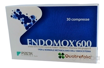 Endomox 600  30 tabliet