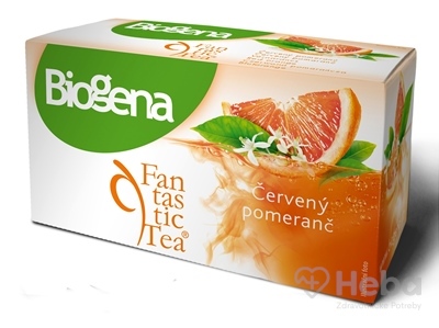 Biogena Fantastic Tea Červený pomaranč  ovocný čaj 20x2,2 g (44 g)