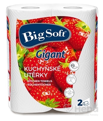 Big Soft Gigant Papierové kuchynské utierky  kotúče 1x2 ks