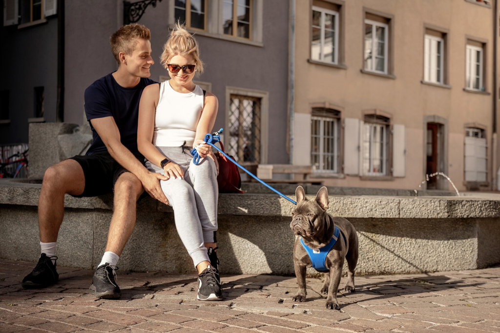 CURLI Vodítko pre psov Comfort Blue M