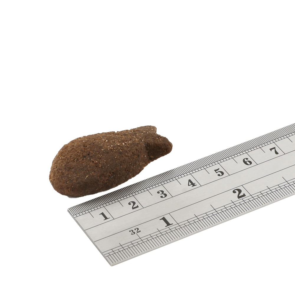 FISH4DOGS Pamlsky pre psov na podporu kože a srsti s kúskami makrely 225g