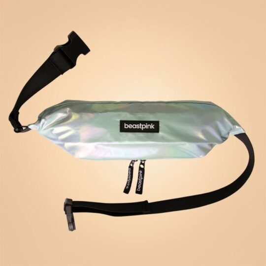 Ľadvinka Spectra Waist Pack - BeastPink