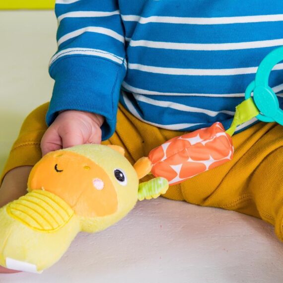 BRIGHT STARTS Hrkálka plyšová na C krúžku Chime Along Friends žirafa 0m+