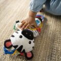 BABY EINSTEIN Hračka aktívna na C krúžku ZEN zebra 0m+