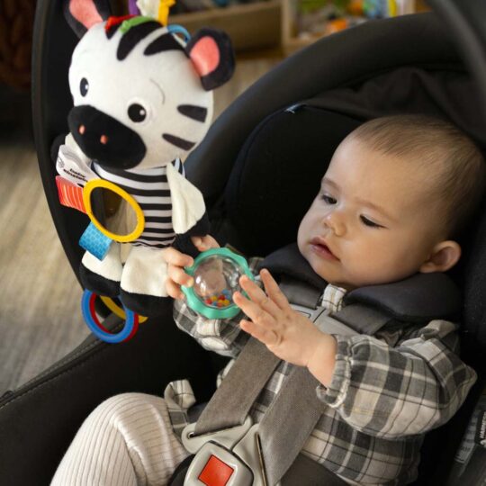 BABY EINSTEIN Hračka aktívna na C krúžku ZEN zebra 0m+