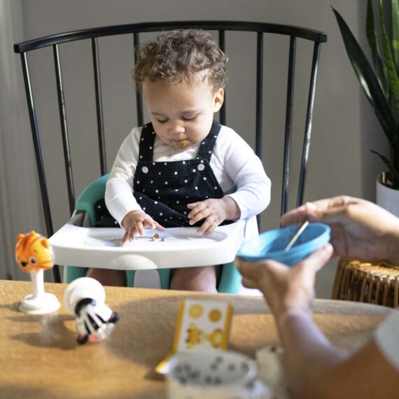 BABY EINSTEIN Podsedák na stoličku s 2 hračkami 2v1 Dine&Discover 6m+ do 23 kg