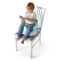 BABY EINSTEIN Podsedák na stoličku s 2 hračkami 2v1 Dine&Discover 6m+ do 23 kg