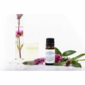 Optima Natura Prírodné esenciálne oleje ZDRAVIE – eukaliptus, zlodejský, levandula, 3×10