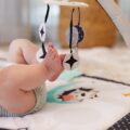 Tiny Love Hracia podložka s hrazdou "Magická krajina", 0m+