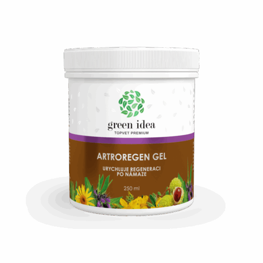 GREEN IDEA Artroregen masážní gel 250 ml