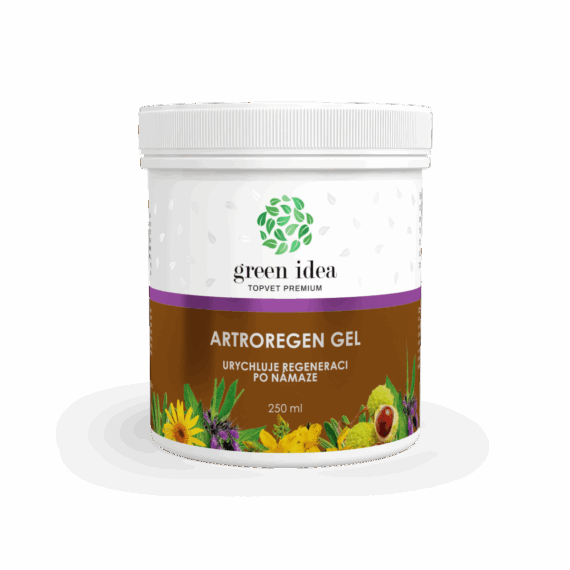 GREEN IDEA Artroregen masážní gel 250 ml