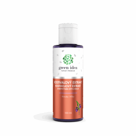 GREEN IDEA Kostivalový extrakt 100 ml