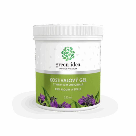 GREEN IDEA Kostivalový masážní gel 250 ml