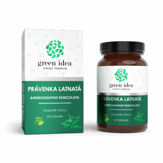 GREEN IDEA Právenka latnatá