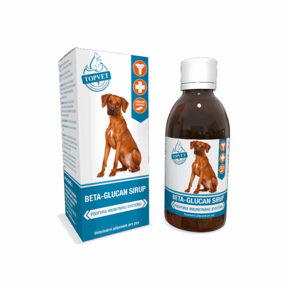 GREEN IDEA Sirup Beta-Glucan 200 ml