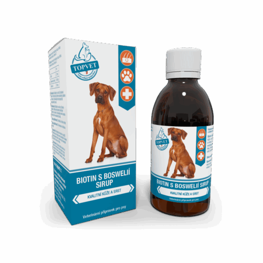 GREEN IDEA Sirup Biotin s boswelií 200 ml
