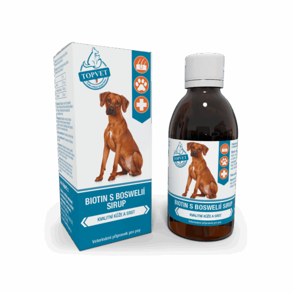 GREEN IDEA Sirup Biotin s boswelií 200 ml