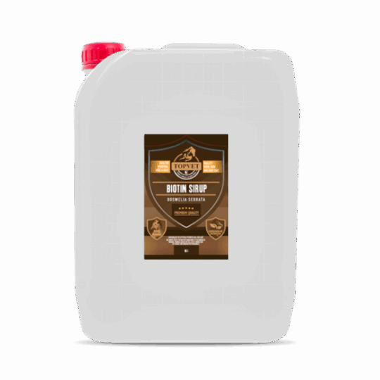 GREEN IDEA Sirup Biotin s boswelií 10 l 10000 ml