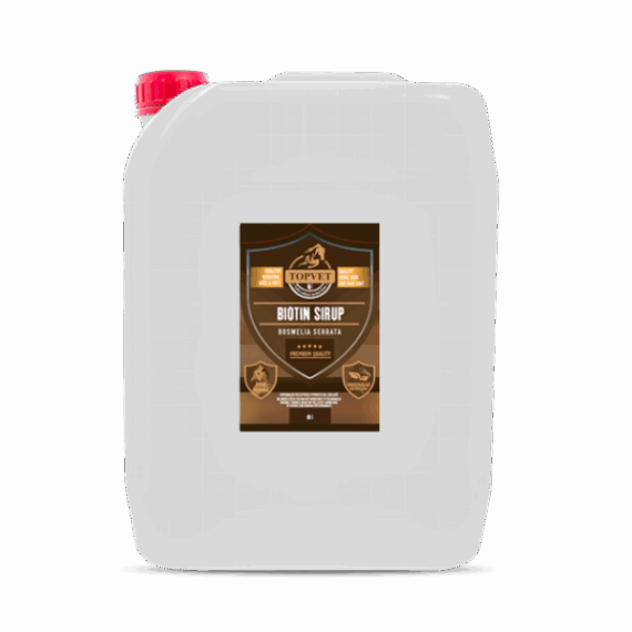 GREEN IDEA Sirup Biotin s boswelií 10 l 10000 ml