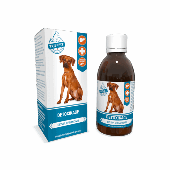 GREEN IDEA Sirup Detoxikace 200 ml