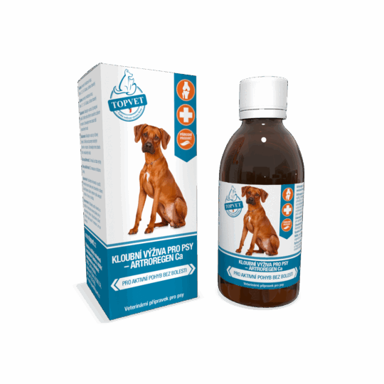 GREEN IDEA Sirup Kloubní výživa 200 ml