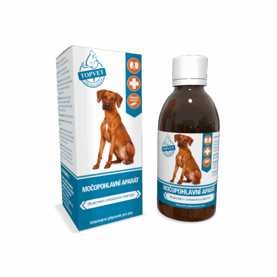 GREEN IDEA Sirup Močopohlavní aparát 200 ml