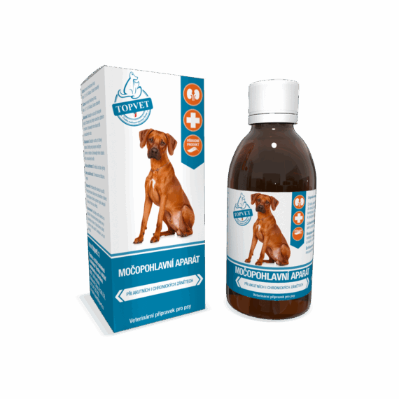 GREEN IDEA Sirup Močopohlavní aparát 200 ml