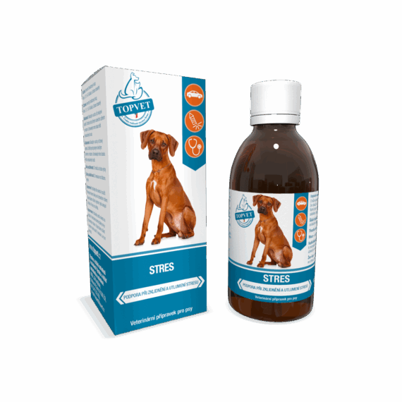 GREEN IDEA Sirup Stres 200 ml