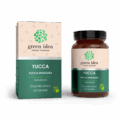 GREEN IDEA Yucca