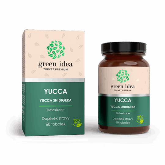 GREEN IDEA Yucca