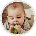 CANPOL BABIES Hryzačka dreveno/silikónová Macko