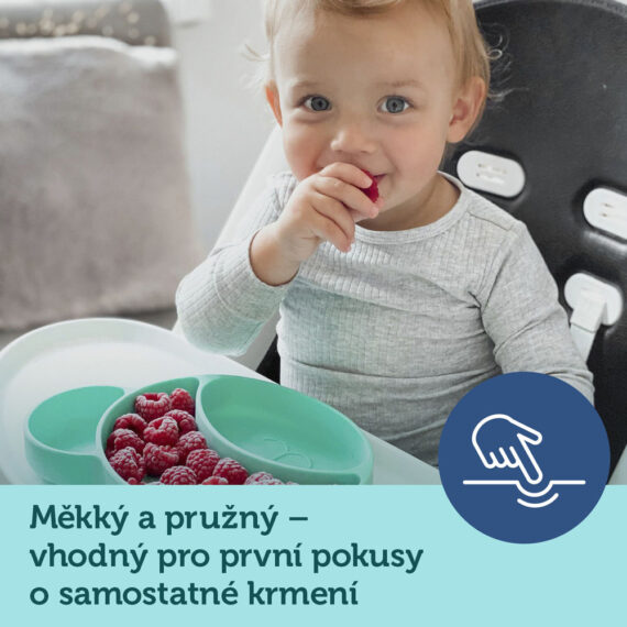 CANPOL BABIES Tanier silikónový delený s prísavkou Medvedík ružový