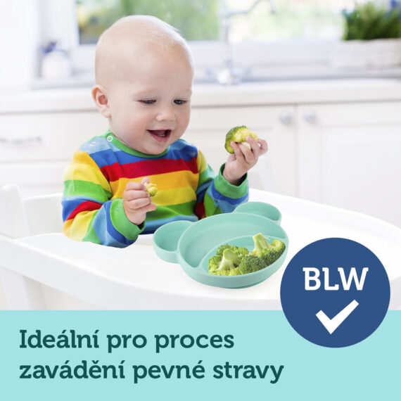 CANPOL BABIES Tanier silikónový delený s prísavkou Medvedík tyrkysový