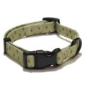EXPLORER DOG Obojok Stromy S – 24-36×1, 5 cm