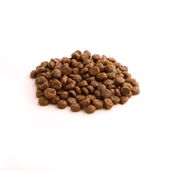 FISH4DOGS Granule veľké pre šteniatka Finest losos so sladkými zemiakmi 1,5 kg, 2m+