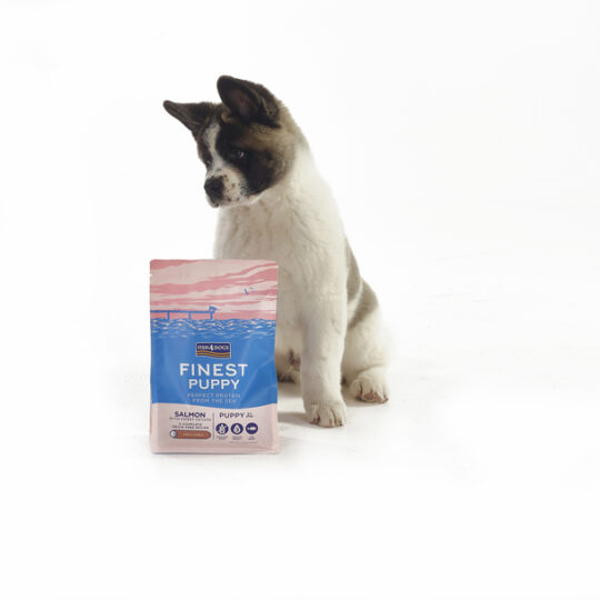 FISH4DOGS Granule veľké pre šteniatka Finest losos so sladkými zemiakmi 1,5 kg, 2m+