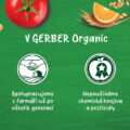 GERBER Organic 100% rastlinný príkrm lahodná tekvica s fazuľkami a paštrnákom 190 g