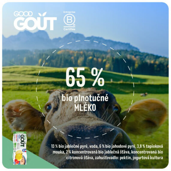 GOOD GOUT BIO Dezert jahodový s jablkom (2×100 g), 6m+