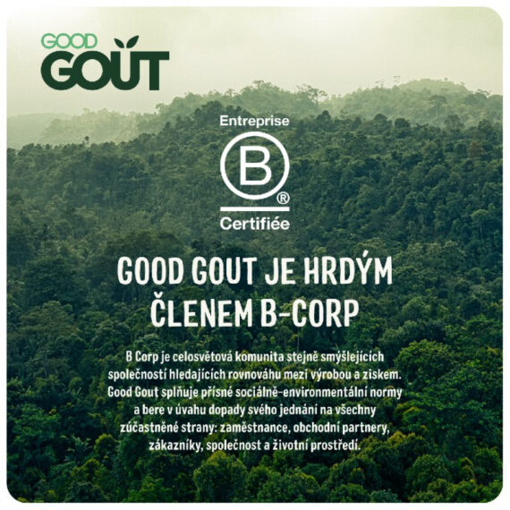 GOOD GOUT BIO Špagety s baklažánom a hovädzím mäsom (2×190 g), 8m+