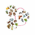 TEDDIES Kubíkove hry so zvieratkami 3v1 v plechovej krabičke