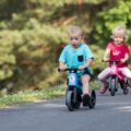 TEDDIES Odrážedlo FUNNY WHEELS NEW SPORT 2v1, nosnost 50 kg 18m+, růžové