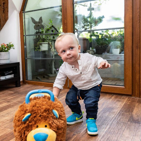 TEDDIES Odrážadlo Funny wheels Rider Ride-On levíček plyšový modrý 12 m +