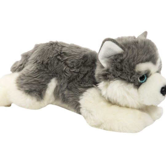 TEDDIES Pes/psík ležiaci Husky 0+