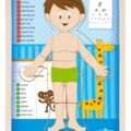 WOODY Puzzle “Ľudské telo” – Chlapec SK