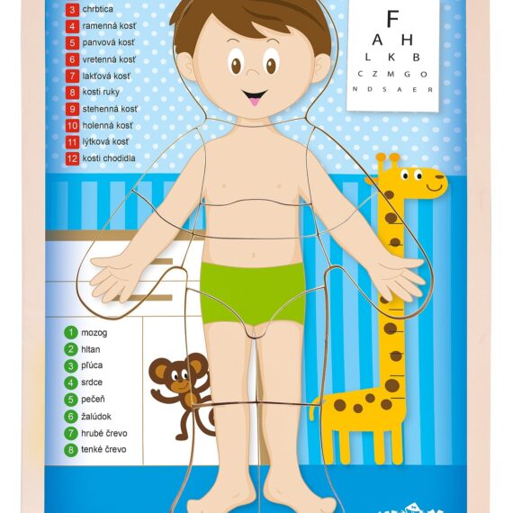 WOODY Puzzle “Ľudské telo” – Chlapec SK