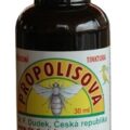 DR.DUDEK PROPOLISOVÁ TINKTÚRA