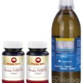 Pharma Activ Reishi forte 1000 AKCIA