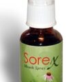 Sorex